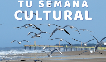 AGEND TU SEMANA CULTURAL!
